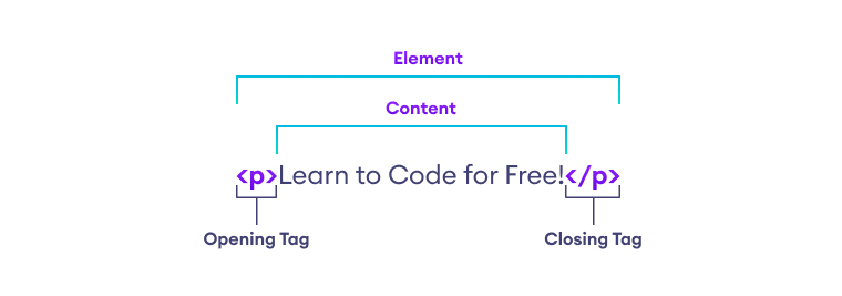 HTML Elements Basis html elements