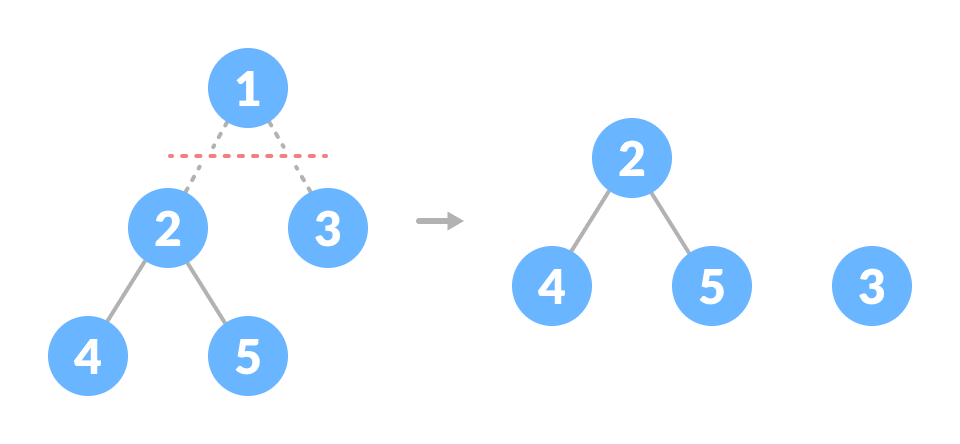 Forest Forest in data structure